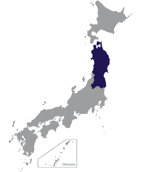 Landkaart Japan grijs met regio Tohouv donkerblauw op transparante achtergrond - 600 * 733 pixels